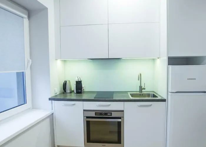 Apartment Bright 1bd In Old Town By Hostlovers Kaunas