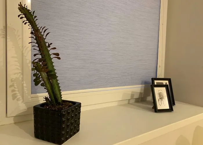 Apartment Bright 1bd In Old Town By Hostlovers Kaunas